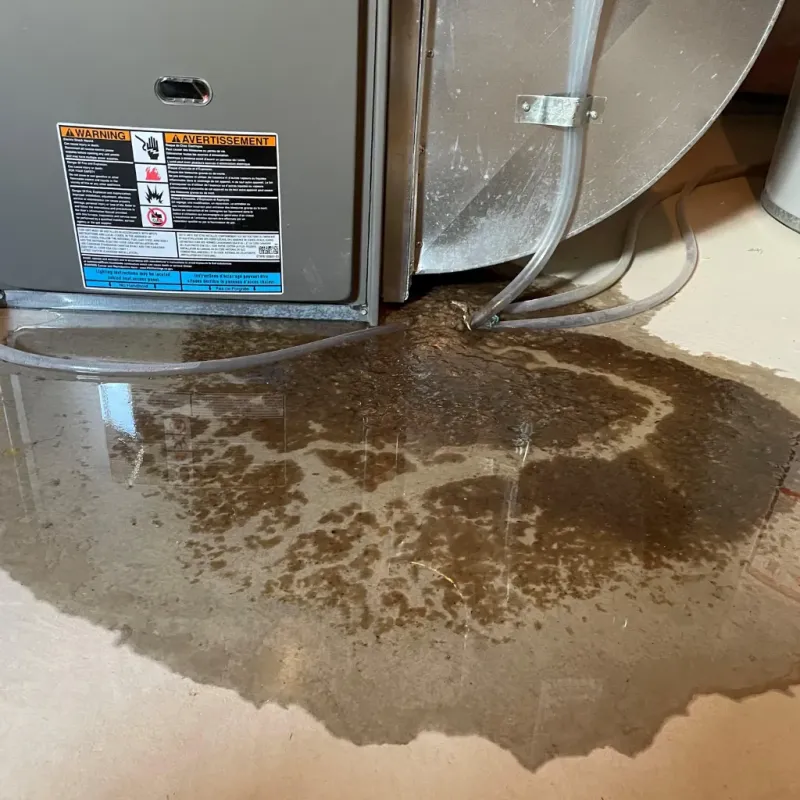 Appliance Leak Cleanup in West Pasco, WA