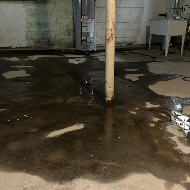 Emergency Water Extraction And Removal in West Pasco, WA
